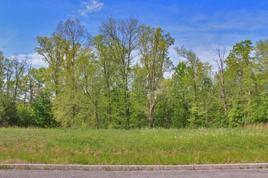 Beautiful spot for your new home located in Lake Crest Estates - photo 4