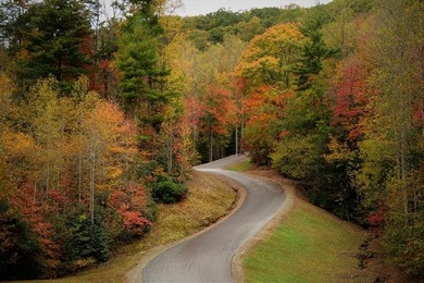 (private lake, pond, coastal) Acreage For Sale in Brasstown North Carolina