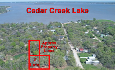 Cedar Creek Lake Lot For Sale in Kemp Texas