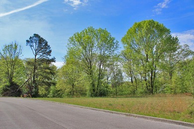 Beautiful spot for your new home located in Lake Crest Estates - photo 3
