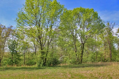 Beautiful spot for your new home located in Lake Crest Estates - photo 4