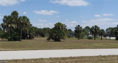 65 Acres CORNER LOT - ZONE RESIDENT OR DUPLEX - CENTRAL WATER & - photo 3