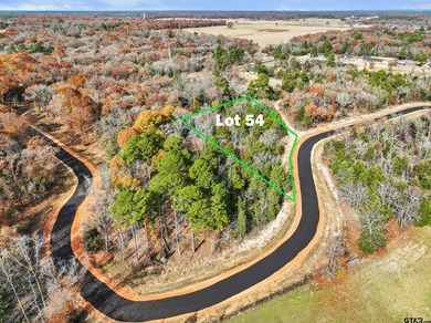 Tuscany Park Lake Lot For Sale in Mineola Texas