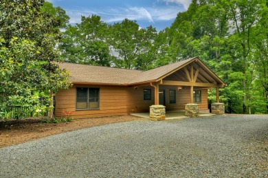 Lake Home For Sale in Ellijay, Georgia