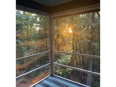 Enjoy Peak Privacy with Seasonal Mountain & Lake Views! This - photo 12
