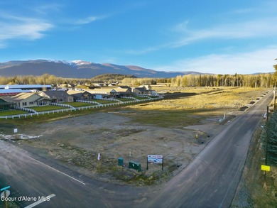 Ten residential builder lots sold together in the Providence - photo 17