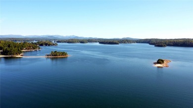 Enjoy Peak Privacy with Seasonal Mountain & Lake Views! This - photo 35