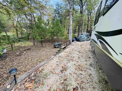 A rural lot turned into an RV'ers dream! Escape to the piney - photo 8