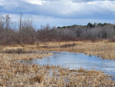 Lake Acreage For Sale in Swanville, Maine