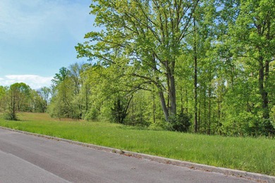 Beautiful spot for your new home located in Lake Crest Estates - photo 2