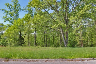 Beautiful spot for your new home located in Lake Crest Estates - photo 3