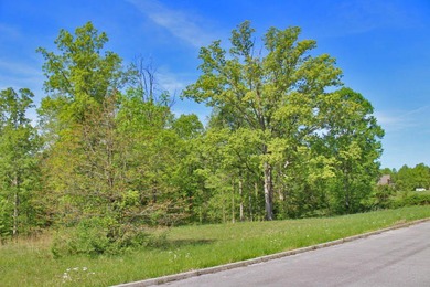 Beautiful spot for your new home located in Lake Crest Estates - photo 5