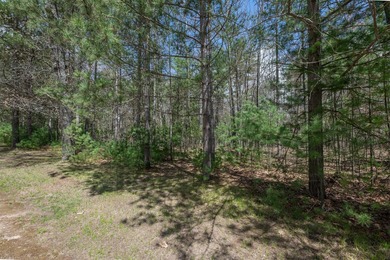 Set your roots in the storied setting of Eagle Waters Resort - photo 4