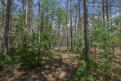 Set your roots in the storied setting of Eagle Waters Resort - photo 5