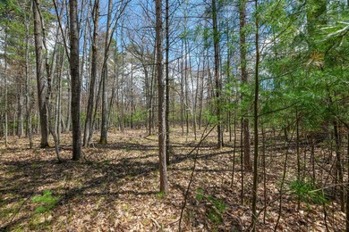Set your roots in the storied setting of Eagle Waters Resort - photo 6