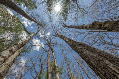 Set your roots in the storied setting of Eagle Waters Resort - photo 8
