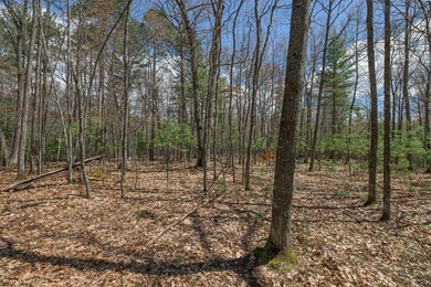 Set your roots in the storied setting of Eagle Waters Resort - photo 9