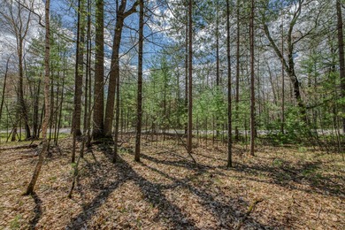 Set your roots in the storied setting of Eagle Waters Resort - photo 10