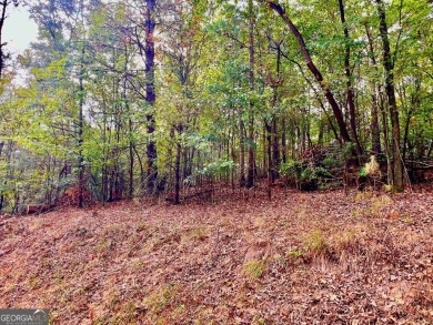 (private lake, pond, creek) Lot For Sale in Ellijay Georgia