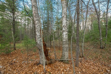 Set your roots in the storied setting of Eagle Waters Resort - photo 3