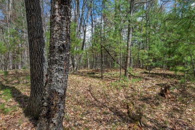 Set your roots in the storied setting of Eagle Waters Resort - photo 5
