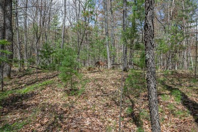 Set your roots in the storied setting of Eagle Waters Resort - photo 6