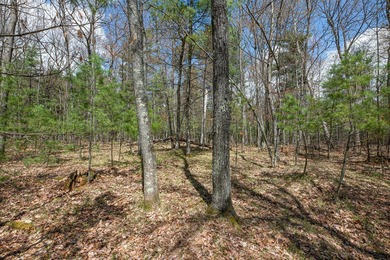 Set your roots in the storied setting of Eagle Waters Resort - photo 8