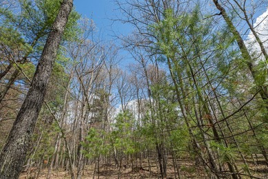 Set your roots in the storied setting of Eagle Waters Resort - photo 9