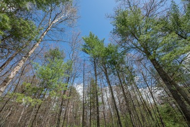 Set your roots in the storied setting of Eagle Waters Resort - photo 10