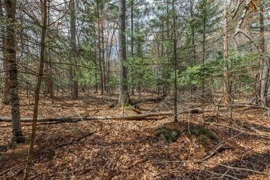 Set your roots in the storied setting of Eagle Waters Resort - photo 4