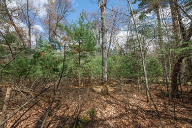 Set your roots in the storied setting of Eagle Waters Resort - photo 5