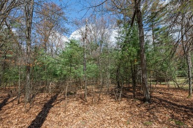 Set your roots in the storied setting of Eagle Waters Resort - photo 6