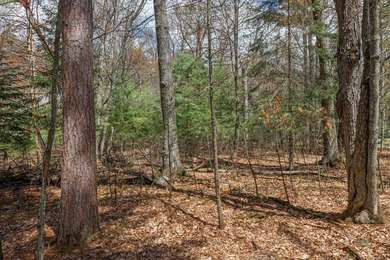 Set your roots in the storied setting of Eagle Waters Resort - photo 8
