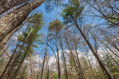 Set your roots in the storied setting of Eagle Waters Resort - photo 9