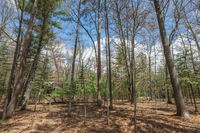 Set your roots in the storied setting of Eagle Waters Resort - photo 10