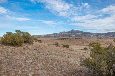 Tucked away in the tranquil landscape of Abiquiu, New Mexico - photo 15