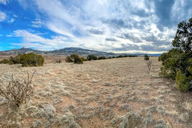 Tucked away in the tranquil landscape of Abiquiu, New Mexico - photo 16