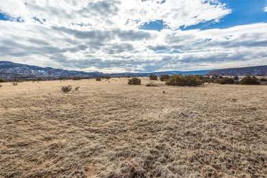 Tucked away in the tranquil landscape of Abiquiu, New Mexico - photo 17