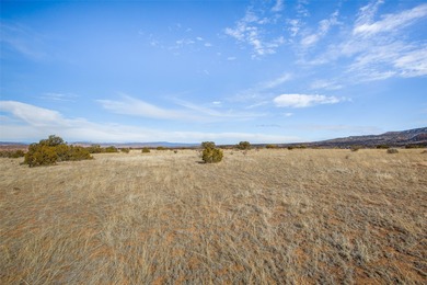 Tucked away in the tranquil landscape of Abiquiu, New Mexico - photo 19