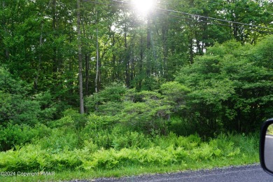 East Lake Lot For Sale in Pocono Lake Pennsylvania