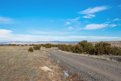 Tucked away in the tranquil landscape of Abiquiu, New Mexico - photo 22