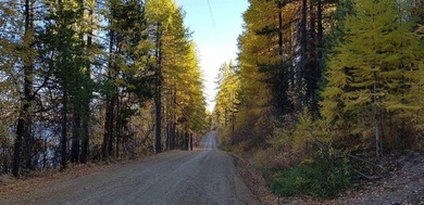Escape to Montana and imagine the possibilities of building your - photo 23
