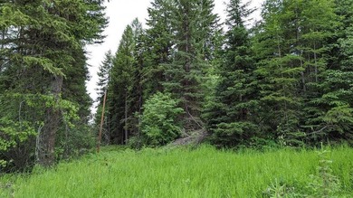 Escape to Montana and imagine the possibilities of building your - photo 24