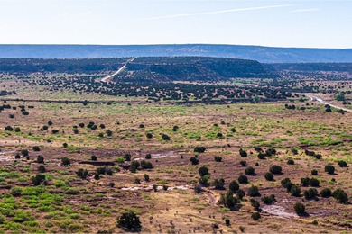 Lago Vista Ranch presents a rare opportunity to own a versatile - photo 4