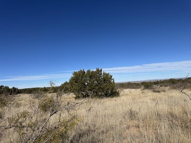 Lago Vista Ranch presents a rare opportunity to own a versatile - photo 5