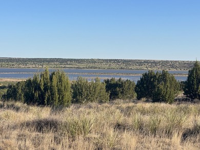 Lago Vista Ranch presents a rare opportunity to own a versatile - photo 6