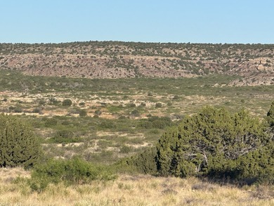 Lago Vista Ranch presents a rare opportunity to own a versatile - photo 9