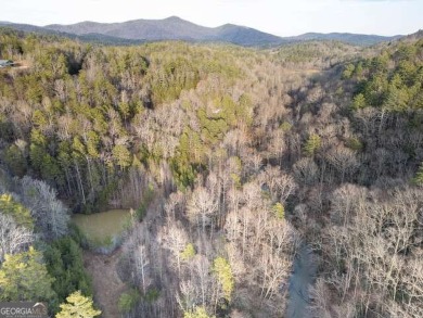 Lake Acreage For Sale in Clayton, Georgia