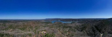 Lake Lot For Sale in Ranger, Georgia