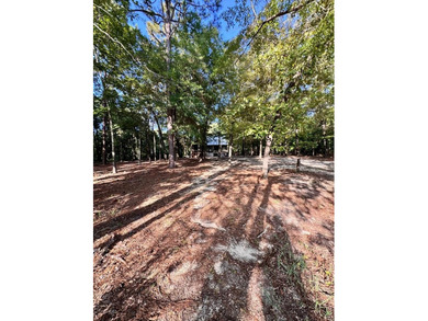 Welcome to your dream lake retreat at 61 Estate Drive in Fort - photo 7
